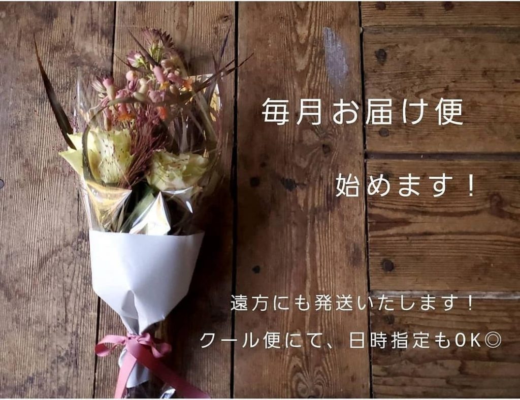 Instagram Image